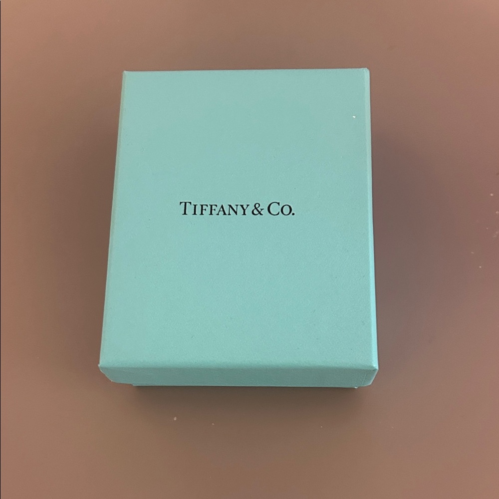 Tiffany & Co. Turquoise Gift Box